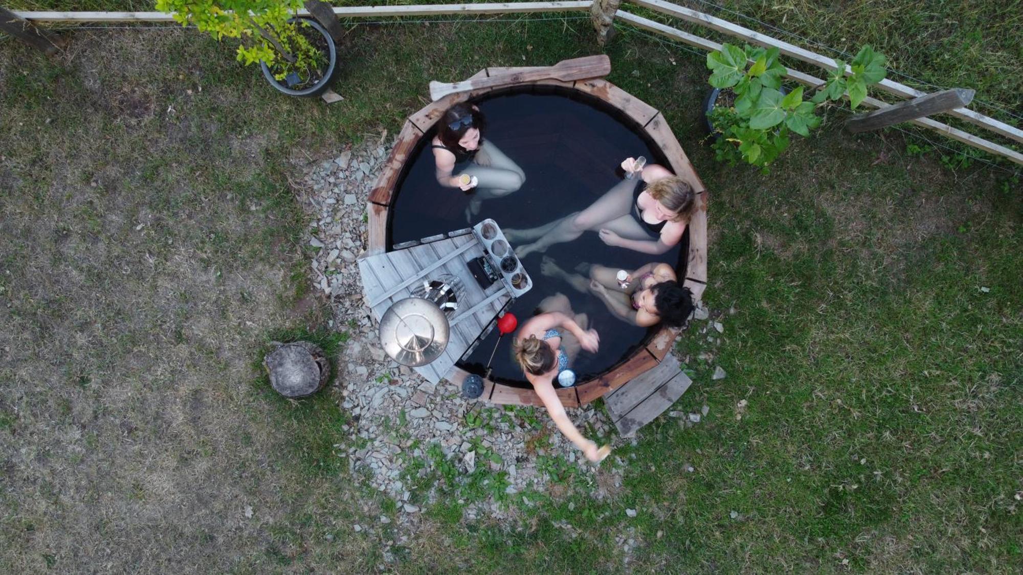 Airstream, Vintage American Caravan & Hottub اشبورتون المظهر الخارجي الصورة
